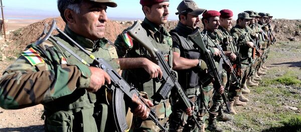 Suriyeli Peşmergeler - Sputnik Türkiye