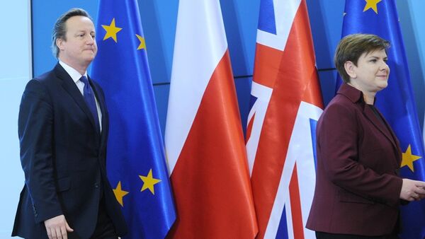 İngiltere Başbakanı David Cameron ve Polonya Başbakanı Beata Szydlo - Sputnik Türkiye