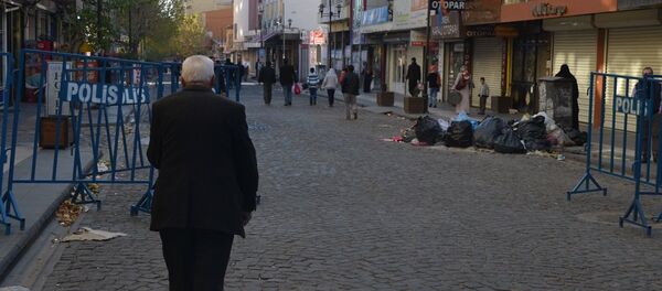 Diyarbakır Sur - Sputnik Türkiye