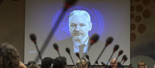 WikiLeaks'in kurucusu Julian Assange - Sputnik Türkiye
