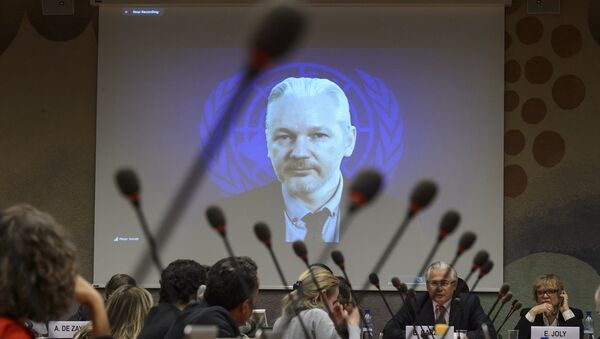 WikiLeaks'in kurucusu Julian Assange - Sputnik Türkiye