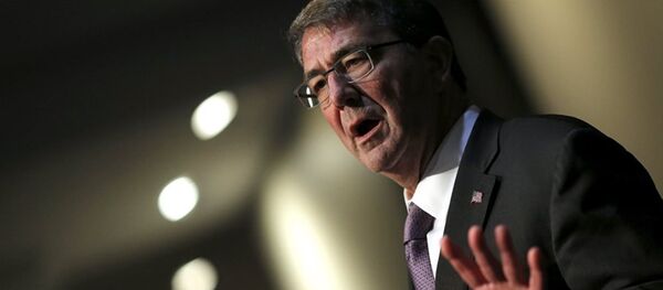ABD Savunma Bakanı Ashton Carter - Sputnik Türkiye