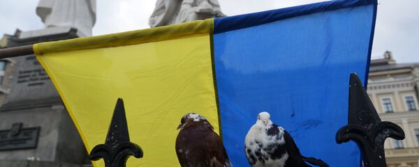 Ukrayna Bayrağı - Sputnik Türkiye