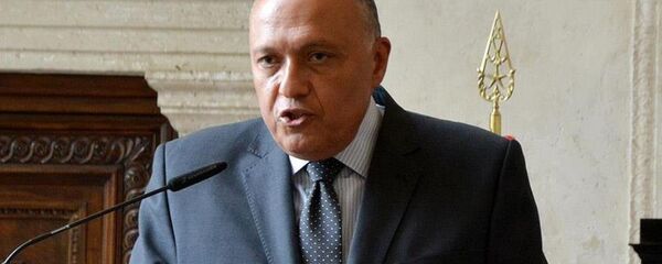 Mısır Dışişleri Bakanı Samih Şükri - Sputnik Türkiye