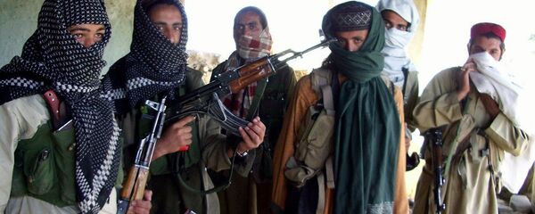 Pakistan Talibanı - Sputnik Türkiye