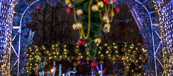 Moskova'da yeni yıl kutlamaları - Sputnik Türkiye