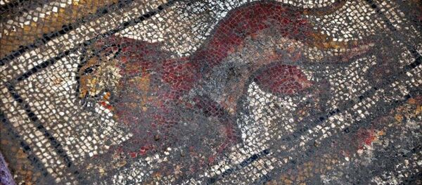 Roma dönemine ait mozaik bulundu - Sputnik Türkiye