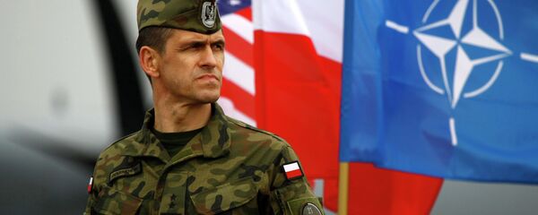 Polonya ve NATO bayraklarının yanında duran bir Polonya askeri - Sputnik Türkiye