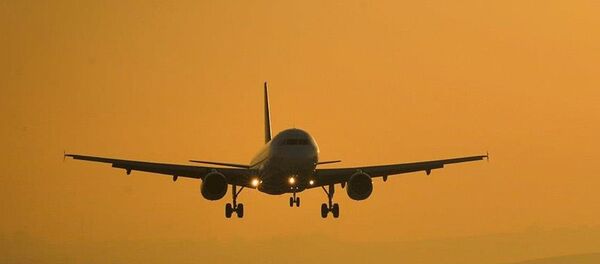 havayolu, uçak - Sputnik Türkiye