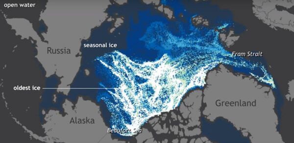 Kuzey Kutbu, bir dakikada eridi - Sputnik Türkiye