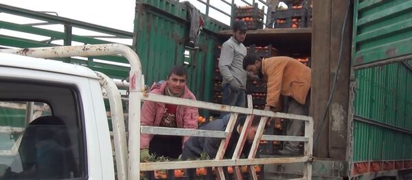 Suriye'den Rusya'ya narenciye ihracatı - Sputnik Türkiye