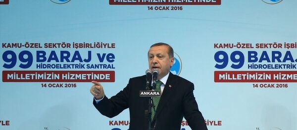 Cumhurbaşkanı Recep Tayyip Erdoğan - Sputnik Türkiye