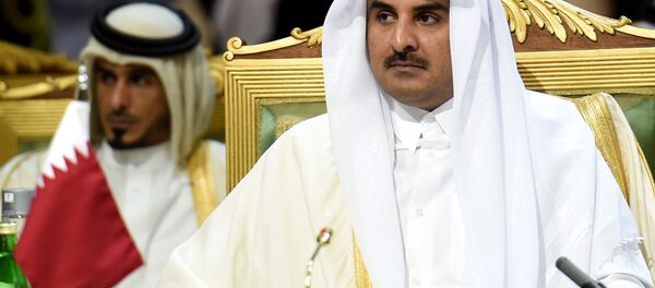 Katar Emiri Hamad bin Halife el Tani - Sputnik Türkiye