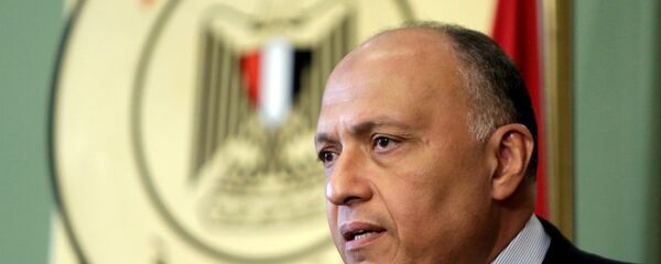 Mısır Dışişleri Bakanı Semih Şükrü Mısır Dışişleri Bakanı Semih Şükrü - Sputnik Türkiye