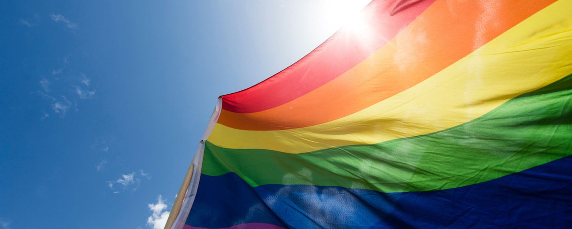 LGBT bayrağı - Sputnik Türkiye, 1920, 31.05.2021