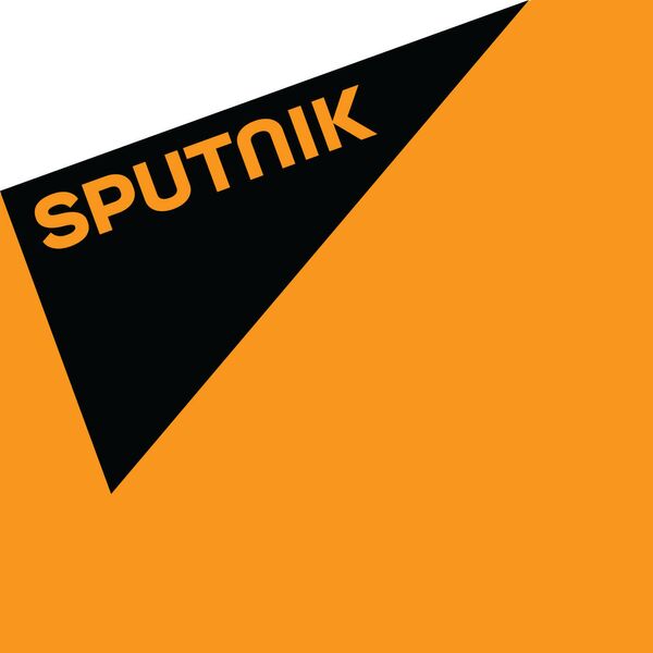 Güvenlik uzmanı Metin Gürcan: Sultanahmet, eylemler silsilesinin ilki - Sputnik Türkiye