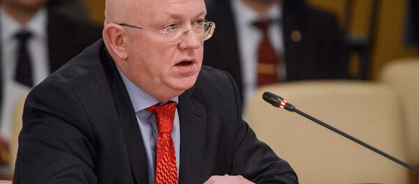 Rusya Dışişleri Bakan Yardımcısı Vassily Nebenziya - Sputnik Türkiye