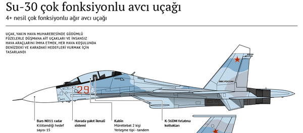Su-30 çok fonksiyonlu avcı uçağı - Sputnik Türkiye
