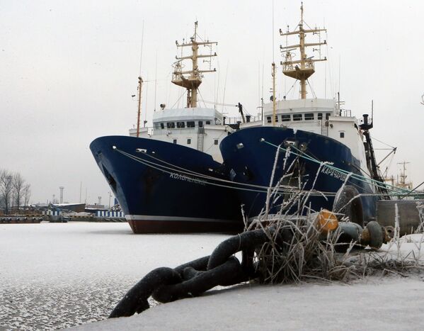Kaliningrad - Sputnik Türkiye