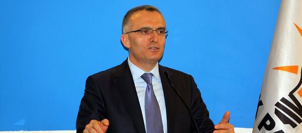 Maliye Bakanı Naci Ağbal - Sputnik Türkiye