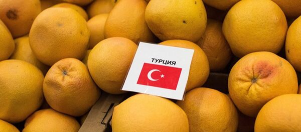 Rusya ambargo - Türk ürünleri - Sputnik Türkiye