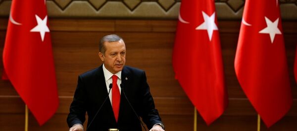 Cumhurbaşkanı Recep Tayyip Erdoğan - Sputnik Türkiye