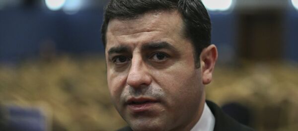 HDP Eş Genel Başkanı Selahattin Demirtaş HDP Eş Genel Başkanı Selahattin Demirtaş - Sputnik Türkiye