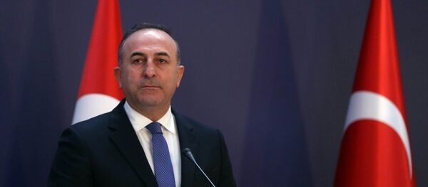 Dışişleri Bakanı Mevlüt Çavuşoğlu - Sputnik Türkiye