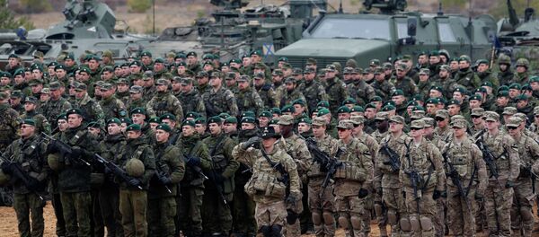 Litvanya - NATO tatbikatı - Sputnik Türkiye