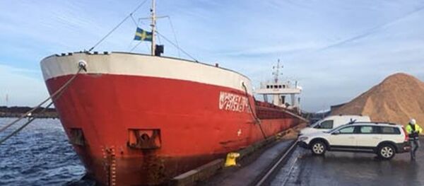 Patlayıcı taşıyan Türk yük gemisi İsveç'te bekletiliyor. - Sputnik Türkiye