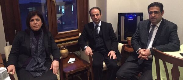 HDP'li milletvekillerinin Cizre için İçişleri Bakanlığı'nda başladıkları açlık grevi eylemi - Sputnik Türkiye