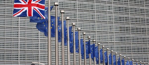 İngiltere - Avrupa Birliği (AB) - Sputnik Türkiye