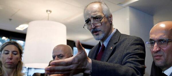 Beşar Caferi - Sputnik Türkiye