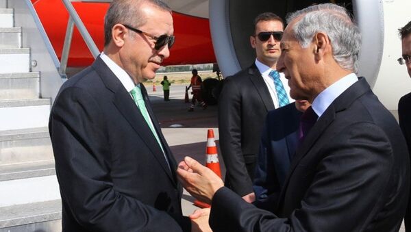 Cumhurbaşkanı Recep Tayyip Erdoğan / Şili - Sputnik Türkiye