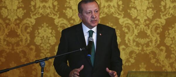 Türkiye Cumhurbaşkanı Recep Tayyip Erdoğan - Sputnik Türkiye