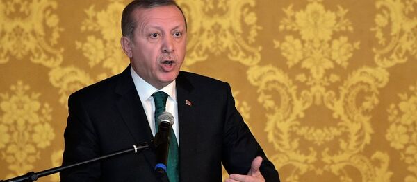 Türkiye Cumhurbaşkanı Recep Tayyip Erdoğan - Sputnik Türkiye