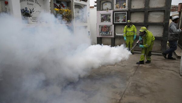 Sağlık görevlileri, Zika virüsüyle mücadele kapsamında Lima'daki bir mezarlıkta ilaçlama çalışması yapıyor. - Sputnik Türkiye