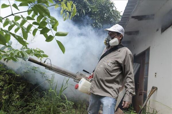 Bolivya'da Zika virüsüyle mücadele - Sputnik Türkiye