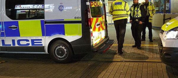 İngiliz polisi - Sputnik Türkiye