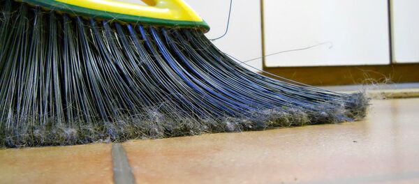 Temizlik - Sputnik Türkiye