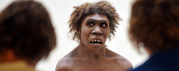 Eyzies-de-Tayac, Dordogne'da sergilenen Neandertal modeli - Sputnik Türkiye