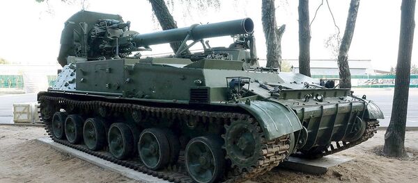 Tyulpan havan topu - Sputnik Türkiye