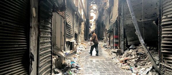 Halep Eski Şehir. - Sputnik Türkiye