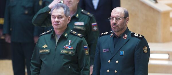 İran Savunma Bakanı Hüseyin Dehkan ve Rusya Savunma Bakanı Sergey Şoygu - Sputnik Türkiye