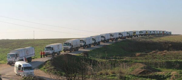 Suriye / İnsani yardım - Sputnik Türkiye