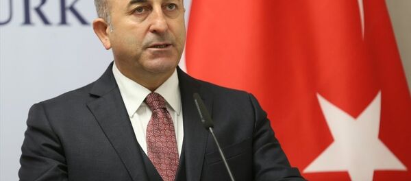 Dışişleri Bakanı Mevlüt Çavuşoğlu - Sputnik Türkiye