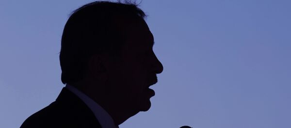 Türkiye Cumhurbaşkanı Recep Tayyip Erdoğan Türkiye Cumhurbaşkanı Recep Tayyip Erdoğan - Sputnik Türkiye