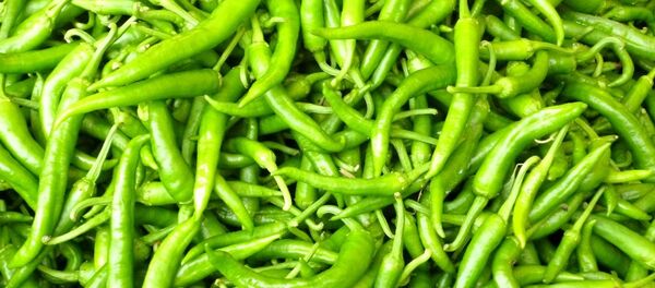 Yeşil biber - Sputnik Türkiye