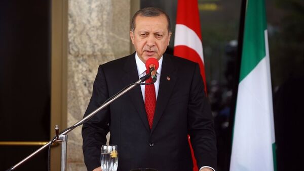 Cumhurbaşkanı Recep Tayyip Erdoğan Nijerya'da - Sputnik Türkiye