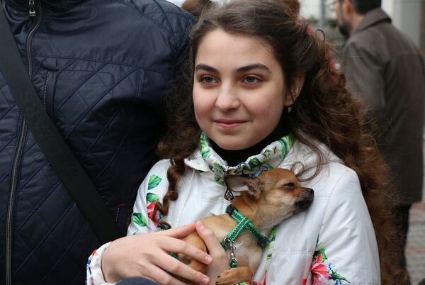 Rusya Devlet Başkanı Vladimir Putin, Donetsk’ten ailesiyle birlikte Kırım’ın Sivastopol kentine göçen küçük bir kıza Şivava cinsi köpek hediye etti. - Sputnik Türkiye